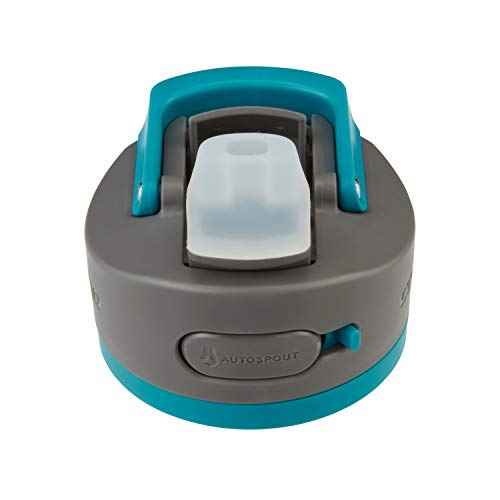 Contigo Ashland 2.0 Leak-Proof Water Bottle with Lid Lock and Angled Straw, Dishwasher Safe, Interchangeable Lid, 24oz, Juniper
