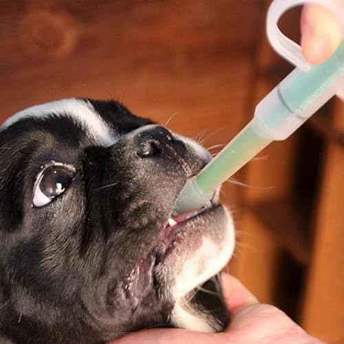 Green Pill Guns for Dog and Cat, Pet Piller Guns Pill Shooters Cat Tablet Soft Tip Syringes,Cat Pill Shooter, Medical Calipers Pet Medicals Feeding Dispenser Tool,Feeding and Watering Supplies