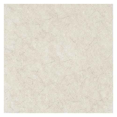 Boardwalk BWK4019NAT 19 in. Diameter Burnishing Floor Pads - Natural White (5/Carton)