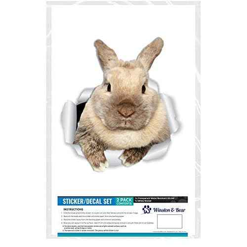 Winston & Bear Rascally Rabbit Wall Decals - Easter Decor - 2 Pack - Bunny Toilet Sticker - 3D Cat Car Window and Bumper Sticker - Retail Packaged Bunny Rabbit Gifts