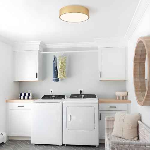Modern Flush Mount Ceiling Light, 2-Lights Gold Ceiling Light, Minimalistic Ceiling Lamp Acrylic Shade Lighting Fixture for Bedroom Laundry Room Foye Hallway(11.8 Inch)