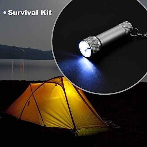 Honoson 30 Pieces Mini Led Flashlight Keychain Portable 5 Bulb LED Flashlight for Camping Party Favors