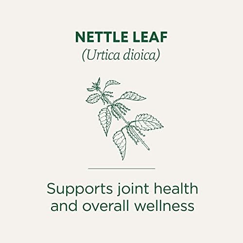 Traditional Medicinals Organic, Nettle Tea - Supports Joint Health & Overall Wellness with Stinging Nettle - Kosher, Non-GMO, Caffeine-Free, Compostable - 16 Tea Bags