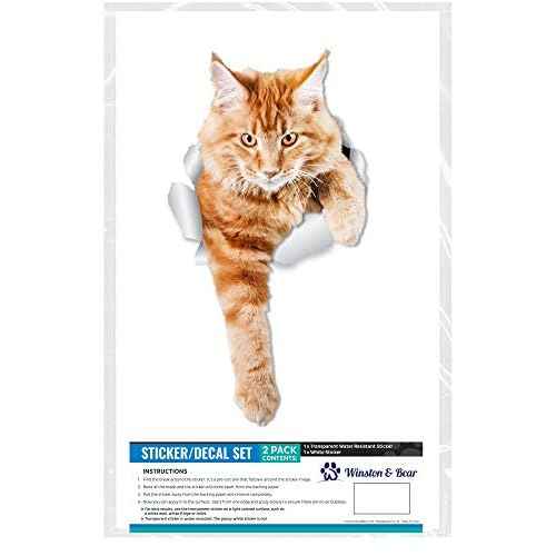 Winston & Bear 2 Pack Climbing Ginger Cats Wall Decals - 3D Car Window & Bumper Sticker - Orange Cat Toilet Sticker - Retail Packaged Orange Cat Lover Gift