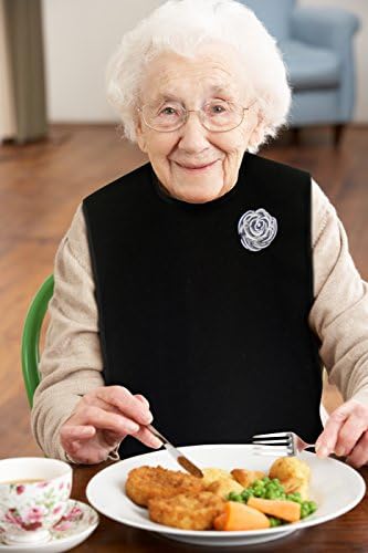 Adult Bibs for Women, Dress ‘n Dine™ Clothing Protectors for Eating, Senior Adult Bib Terry Cloth Crumb Catcher, Embroidered Design, Waterproof, Reusable, Washable (Silver Brooch)