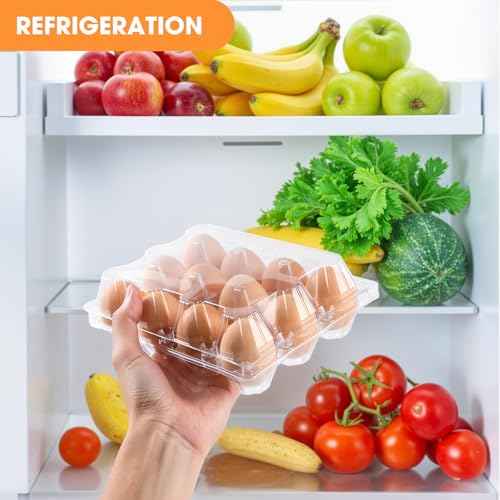 160 Pack Egg Cartons Cheap Bulk 12 Count Clear Empty Egg Cartons for Chicken Eggs 3x4 Grids, Reusable Egg Holder Egg Trays for Family, Chicken Farm, Markets Display - Egg Containers for Fresh Eggs