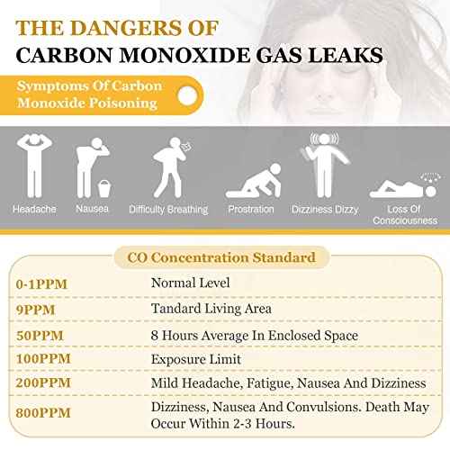Carbon Monoxide Detectors, Portable CO Detector with Temperature Sensor £¦ LCD Backlight Screen, Handheld Carbon Monoxide Meter Tester 0-1000PPM Range, Indoor/Oudoor (Includes Battery x3)