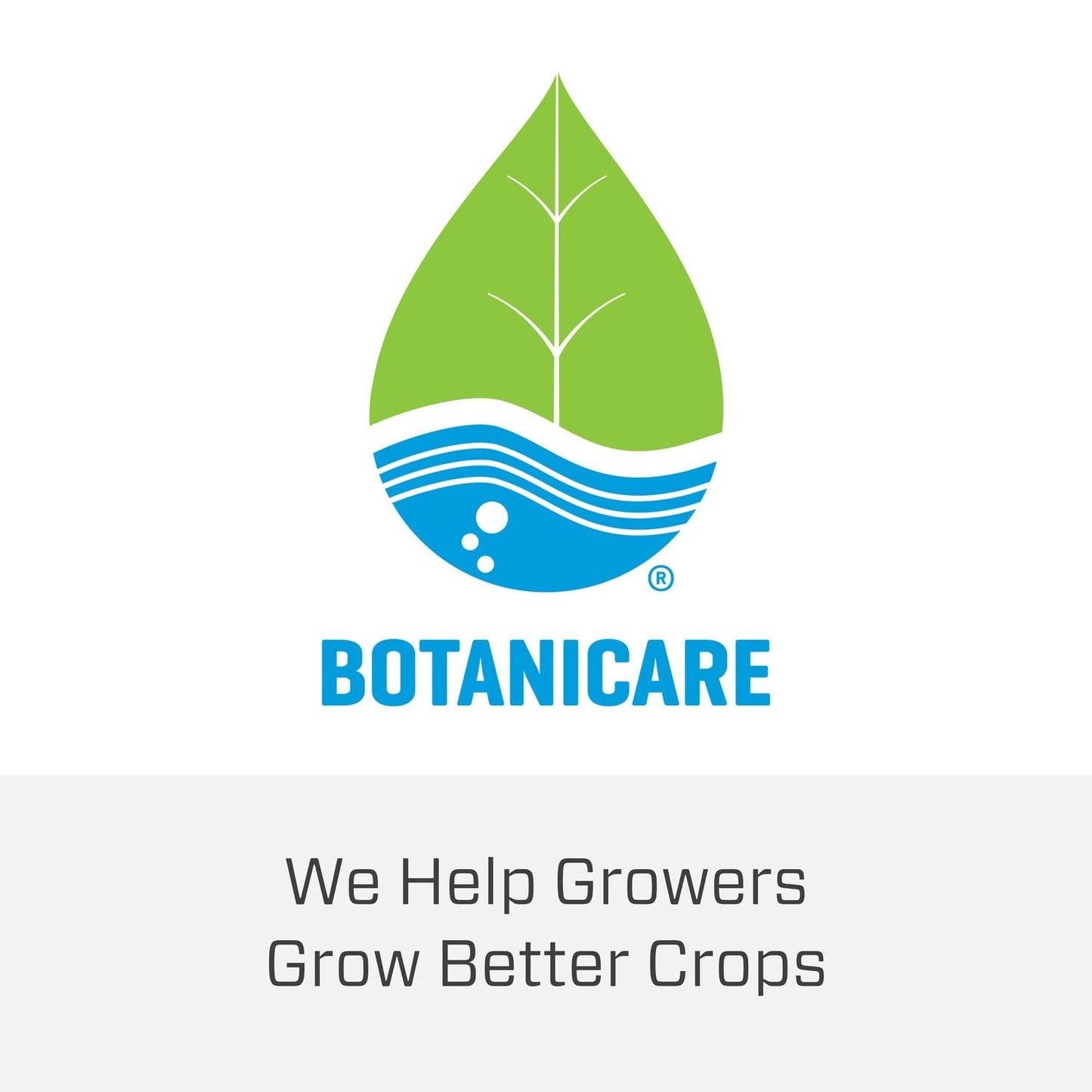 Botanicare Cal-Mag Plus, A Calcium, Magnesium, And Iron Plant Supplement, Corrects Common Plant Deficiencies, Add To Water Or Use As A Spray, 2-0-0 NPK, Quart