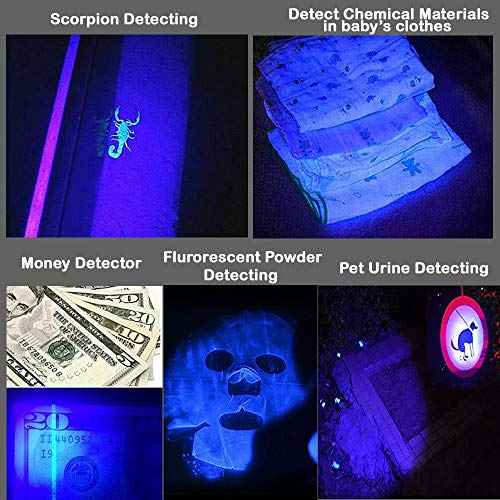 Multicolored 3-Mode Flashlight: Red, Green, Blue, UV & White LED Lights (Pack of 5)