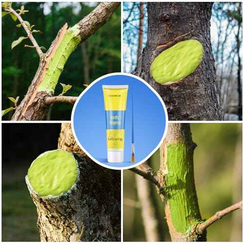 Tree Wound Pruning Sealer, Bonsai Wound Sealer Healing Paste, 100g Plant Cutting Dressing with Brush, Tree Grafting Supplies, Bonsai Cut Paste, Quick Recovery of Plants