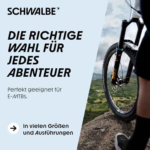 SCHWALBE Albert Tire - 29 x 2.50, Tubeless, Folding, Black, Evolution Line, Trail Pro, Addix Ultra Soft, Radial, E-50