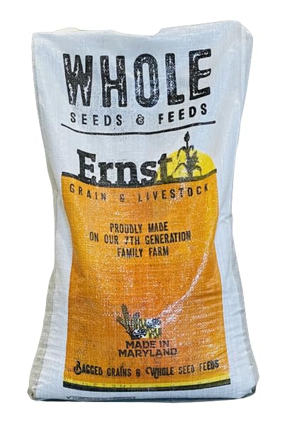 Ernst Grains Rye Grain, Non-GMO – Grown in Maryland; Perfect for feeding. (25 lb)