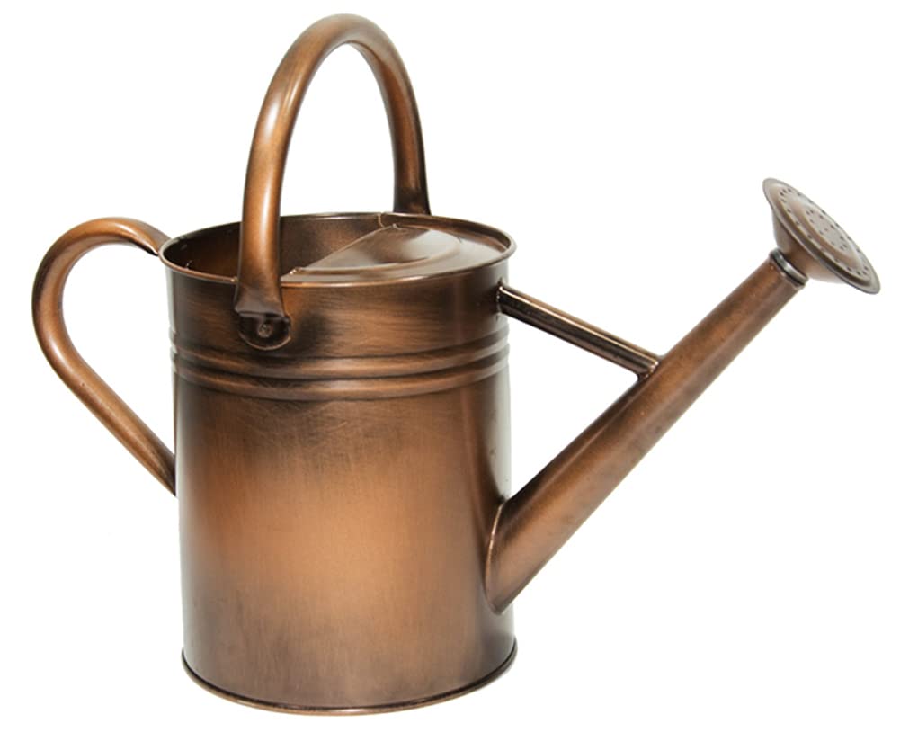 yourjoy Galvanized Metal Watering Can, One Gallon Watering Cans for Outdoor Indoor Garden Plants Watering with Luminous Panit