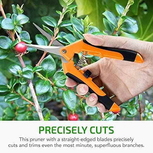 iPower 6.5 Inch Gardening Scissors Hand Pruner Pruning Shear with Straight Stainless Steel Blades, Orange, 4-Pack