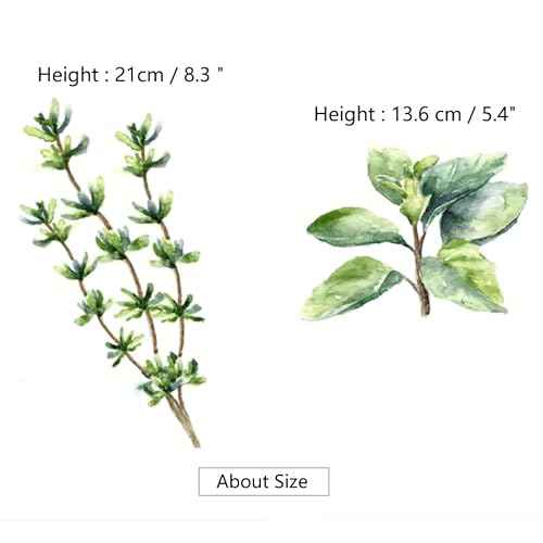 Herb Wall Decals Stickers Peel and Stick,Kitchen Stickers Decals for Cabinet Peel and Stick,Herb Art Decor for Kitchen