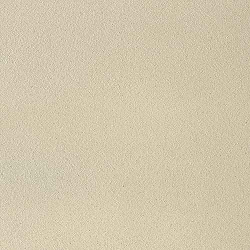 Krylon K02860007 Fusion All-In-One Textured, Sandstone, 12 oz.