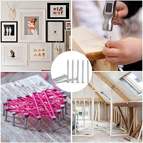 376pcs Hardware Nails Assortment Kit with 8oz Small Claw Hammer, Mini Hammer with Anti-Slip Handle, Maximum Length 2 Inches, Finishing Nails for Hanging Pictures, Household & DIY