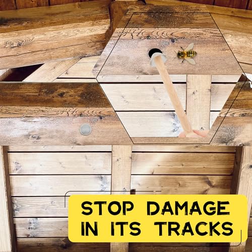 Carpenter Bee Hole Plugs 50 Pcs ? Stainless Steel Carpenter Bee Corks for Outside, 2 Sizes Hole Filler with Wooden Stick, Porches, Fences, Roofs, Outdoor Wood Repair Kit
