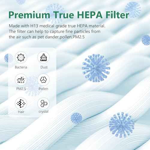 HAP603 H13 True HEPA Replacement Filter Compatible with ECOSELF HAP603 Air Cleaner Purifier, 3-in-1 Filter of HEPA and Activated Carbon Filters, 4 Packs, Blue
