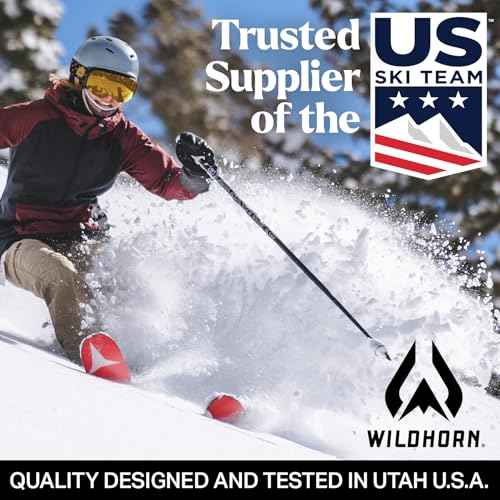 Wildhorn Roca Ski Goggles Men Women Anti-Fog/Scratch 100% UV-Magnetic Lens-Snowboard Snow Goggles Men Women Adult