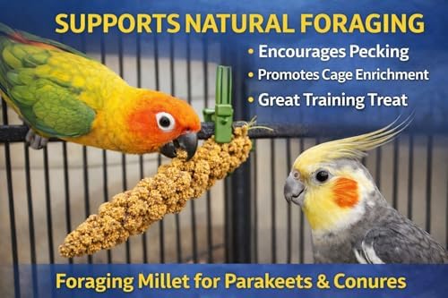 Birds LOVE 1 lb Wholesome Spray Millet for Birds – USA Grown, Natural Sun-Dried Millet Sprays –Thick Clusters Bird Treat for Parakeets, Budgies, Cockatiels, Conures, Finches & Parrots