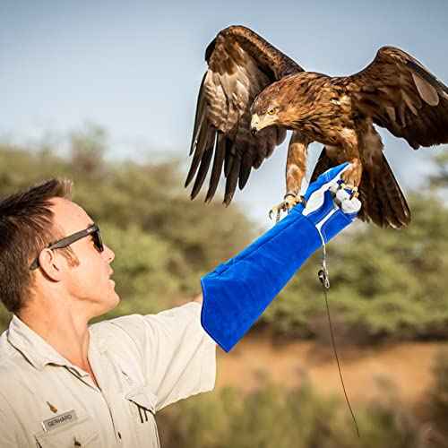 Animal Handling Gloves Bite Proof Reinforced Leather for Dog Training Cat Scratch Falcon Reptile Grabbing Snake