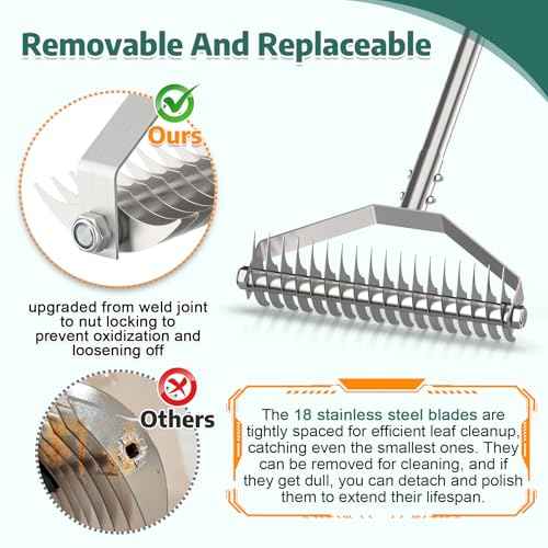 Thatch Rakes for Lawns,14.2-Inch Thatching Rake,304 Stainless Steel Dethatcher Rake with Adjustable Handle and 2 Extra Replaceable Blades,Heavy Duty Rakes for Cleaning Dead Grass and Loosening Soil