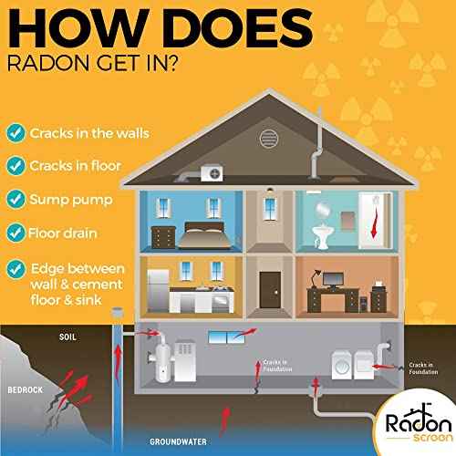 RadonScreen Radon Detector for Home Test Kit, EPA-Approved Radon Gas Detector NRPP-Certified LAB Analysis for Household Air Quality, Quick Turnaround Time, Easy to Use, Lab Fees Included