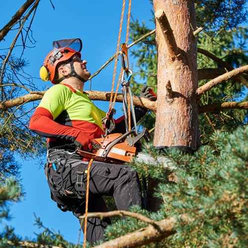 Arborist Rope Tree Rope Polyester Bull Rope (1/2in x 150ft) 48 Strands for Pull Swing Knot (Orange)