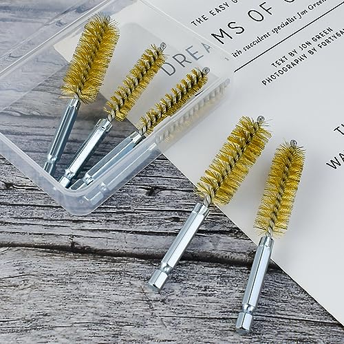 6 Pcs Brass Bore Brush Set with 1/4" Hex Shank Twisted Wire Bristles, Different Sizes (8, 10, 12, 15, 17, 19mm) for Bearing, Rust, Tube Cleaning
