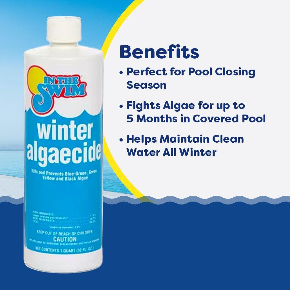 In The Swim Winter Swimming Pool Algaecide - 1 Quart
