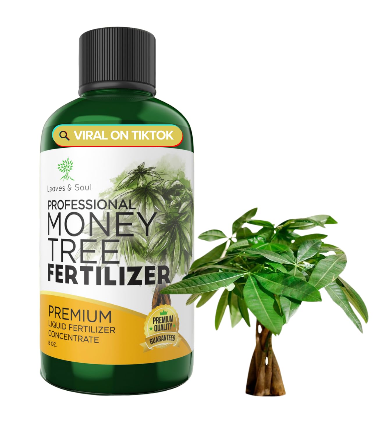 Professional Money Tree Fertilizer Liquid 3-1-2 Concentrate 8 oz, Premium Plant Food for Money Tree Indoor Plants, Liquid Fertilizer for Houseplants, Money Plant Fertilizer Made in USA