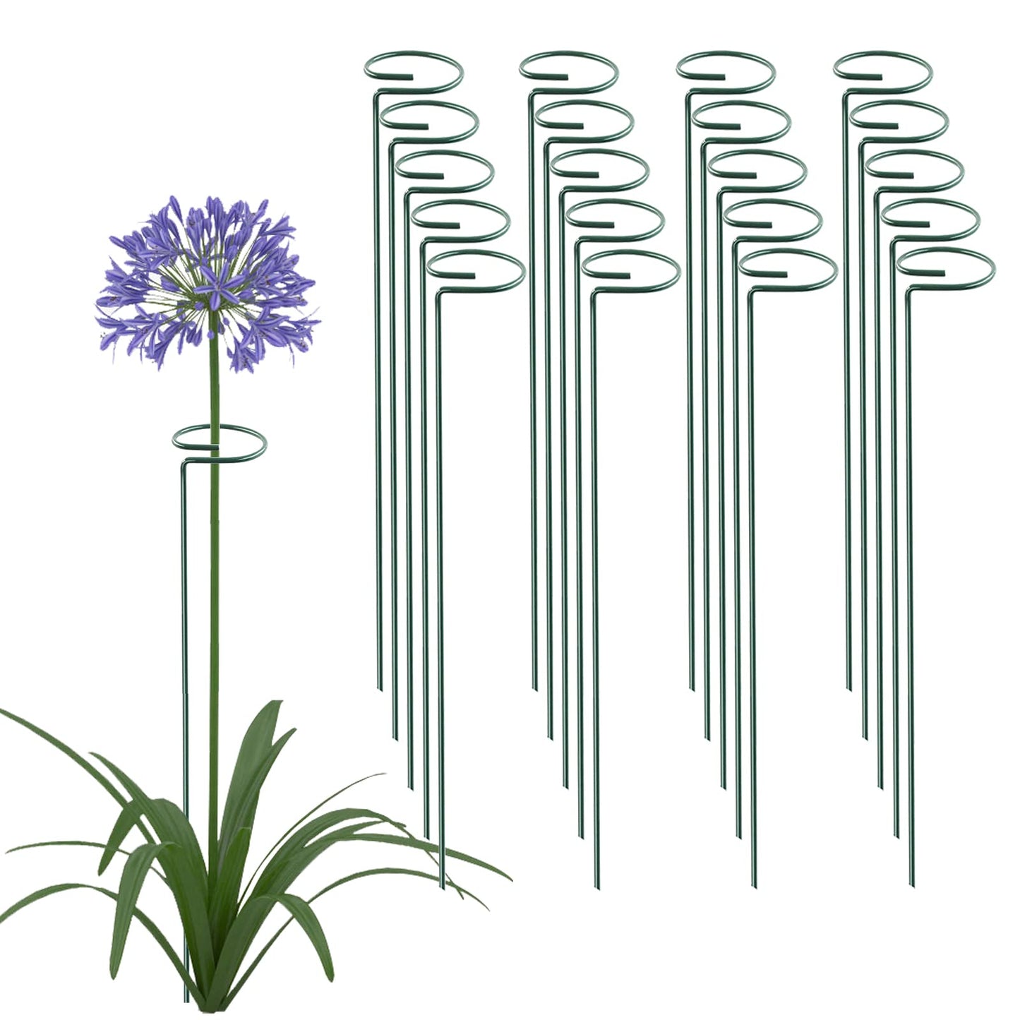 Thealyn 18 Inch 20 Packs Plant Support Stake Garden Single stemmed Plant Support Hoops Plant Prop for Flowers Orchid Tomatoes Peony Lily Rose Gladiolus (18 inch)