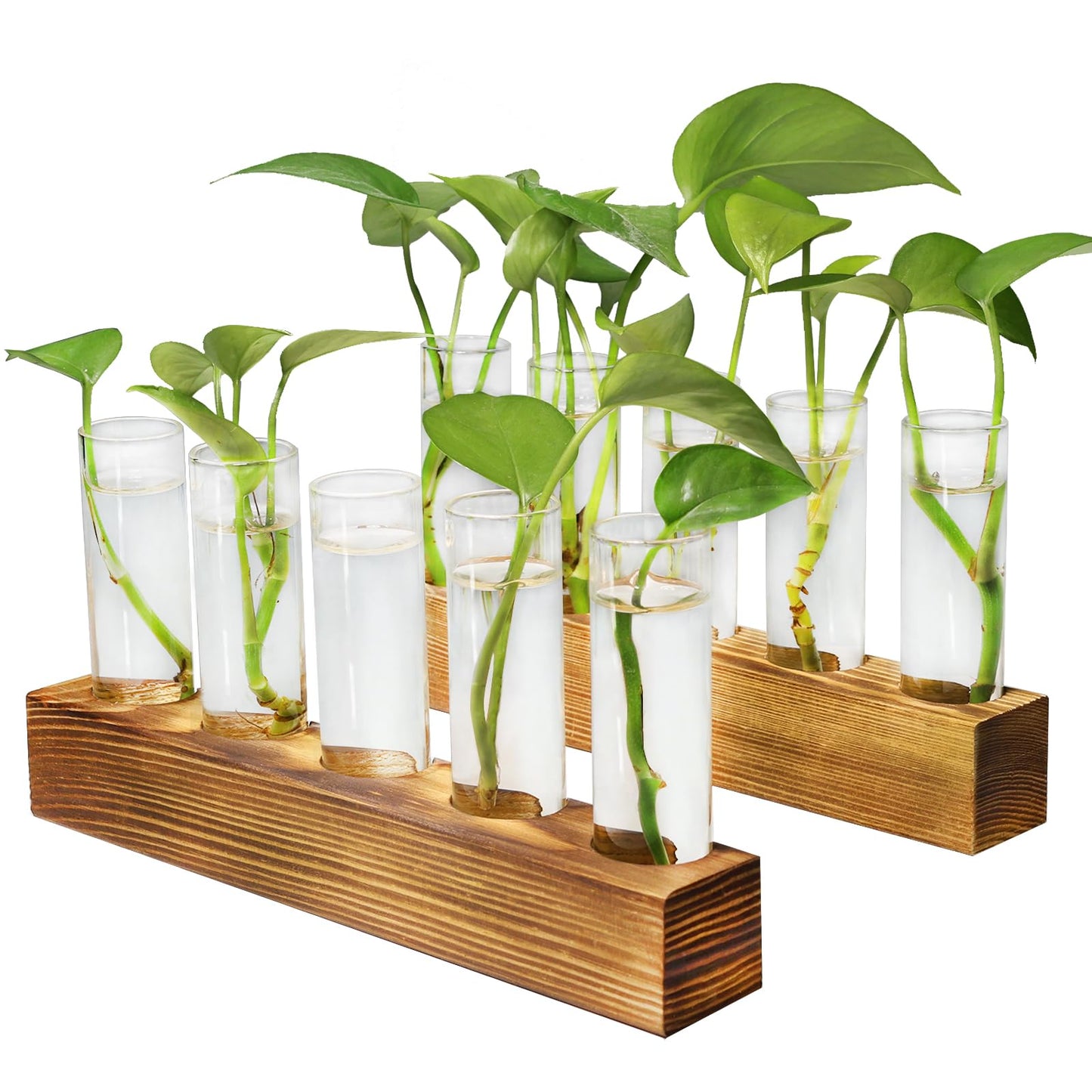 Renmxj Plant Propagation Station, Plant Terrarium with Wooden Stand for Hydroponics Plants Office Decor Unique Gardening Gifts for Women Plants Lovers - 10 Glass Test Tube Vases