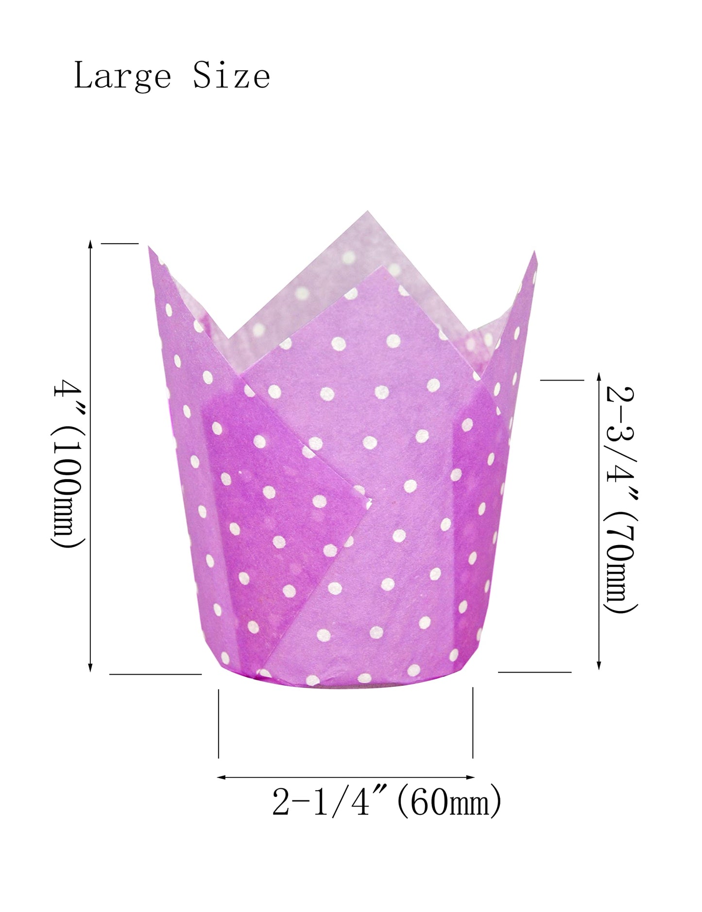 QLSmypkg Large Muffin Greaseproof paper Baking cupcake cups, 2-1/4" x 4" Purple printed with Polka Dot Tulip Baking Cup(Large) (125pcs)