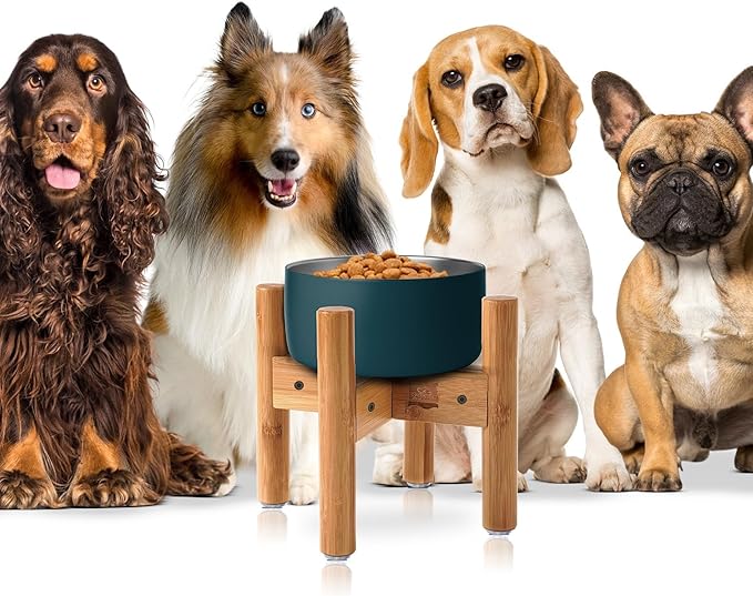 Dog Bowl Stand - Raise, Elevate Bowls to 9-inch High - Adjustable, Fits 6 up to 8-inch Medium Dog Food/Water Feeders, Dishes and Fountains - Durable Bamboo
