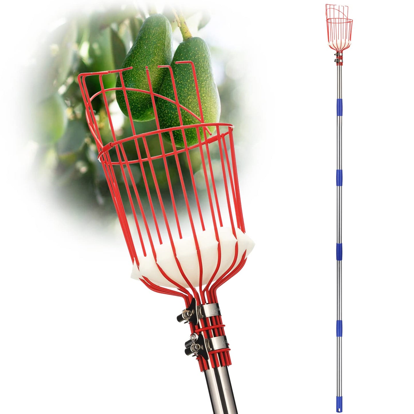 DonSail Fruit Picker Pole Tool with Basket Long Handle, 35-65 Inch Adjustable Apple Orange Picker Pole Tool with Basket for Avocado Acorn Lemon Pear Mango Tree Picker