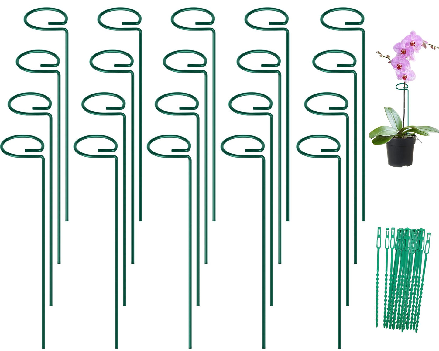 FEED GARDEN 16 Inch 20 Pack Plant Support Stakes, Metal Garden Flower Stakes and Supports for Outdoor Plants, Plant Stem Support with 40 Twist Ties for Amaryllis Lily Rose Peony Tomatoes Gladiolus