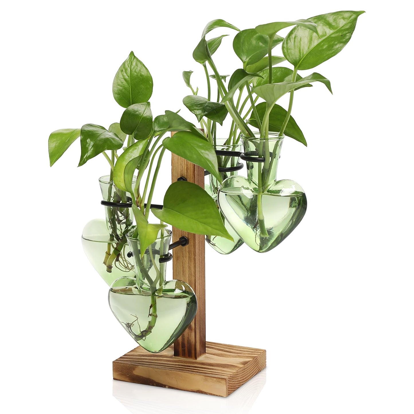 CYZglass Plant Terrarium Propagation Stations with Wooden Stand, Glass Vase for Indoor Hydroponics Home Garden Office Decoration Gift for Women - 4 Love Bulb Vase
