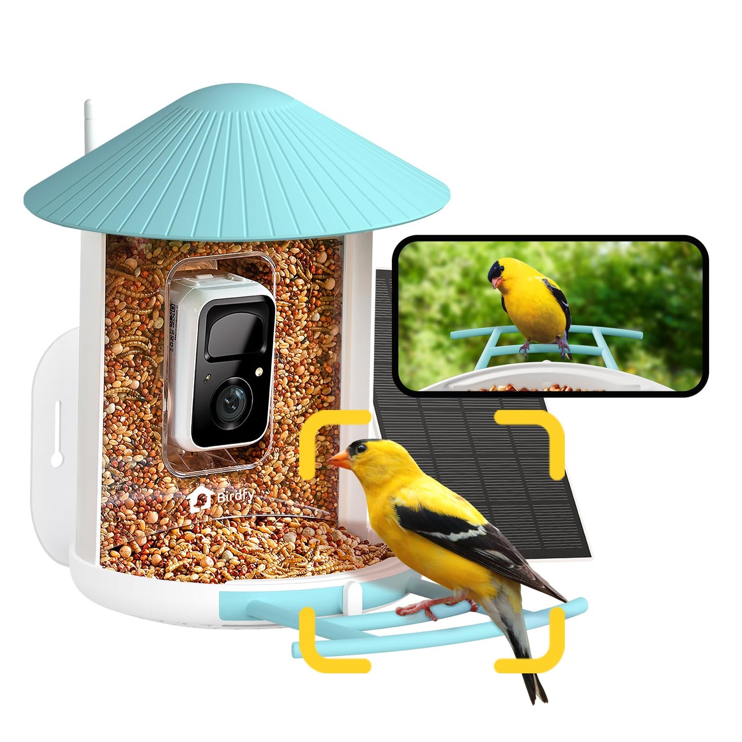 NETVUE by Birdfy Smart Bird Feeder with Camera â AI Identifies Birds Species 2MP Night Vision & App Alerts, 2.4Ghz Wi-Fi Connect IP65 Weatherproof Bird Camera-Gift for Backyard BirdWatchers, Blue