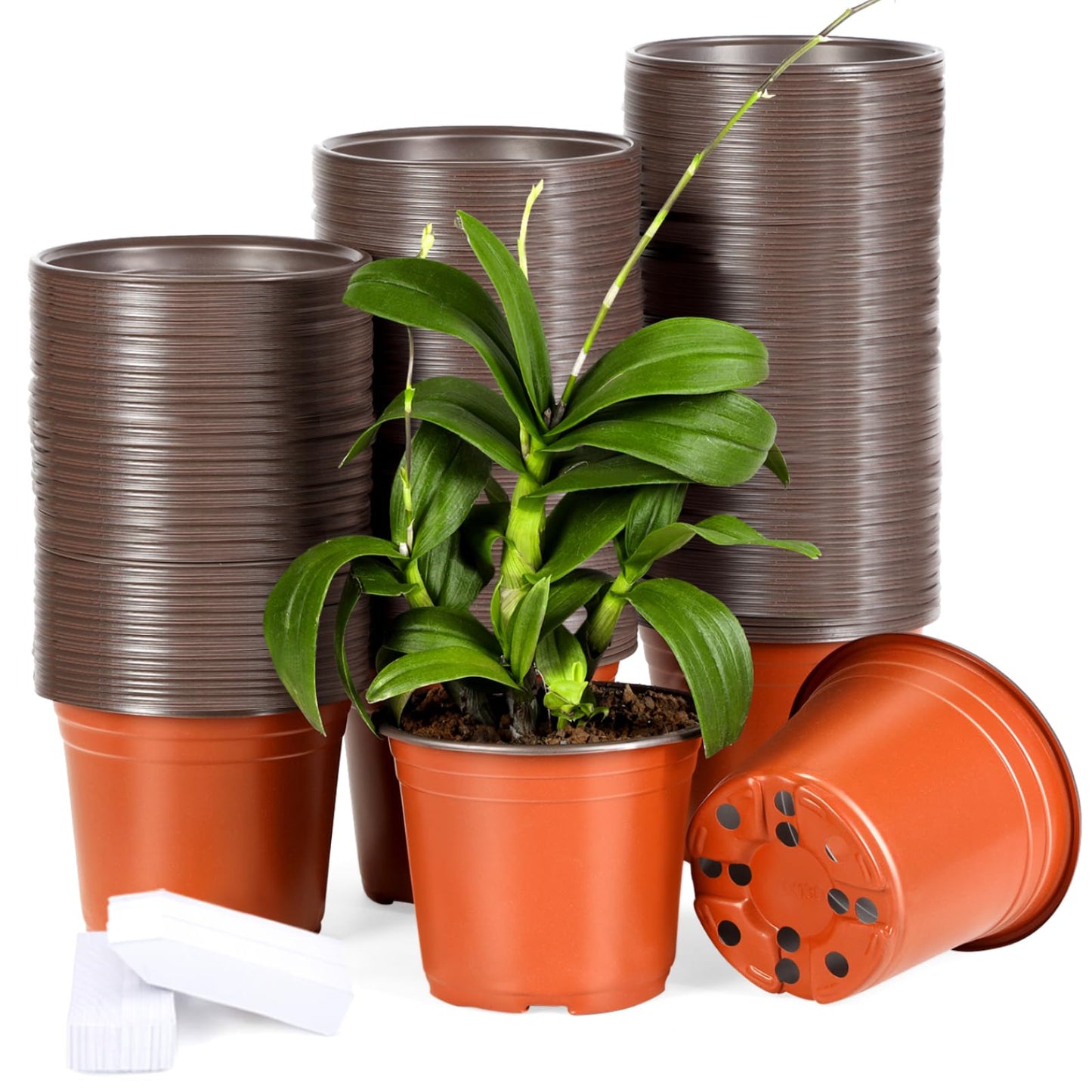 Hemikaki 200 Pack 6 Inch Plastic Nursery Pots for Plants, Seedling Pots Succulent Pots Flower Pots with Drainage Holes, Come with 200pcs Plant Labels