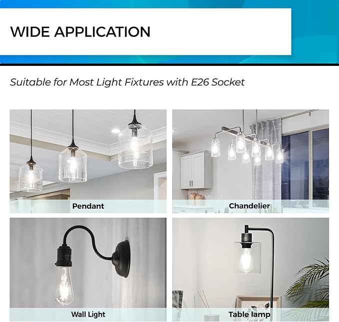 Hizashi Vintage LED Light Bulb Dimmable, 6W Equivalent 60W, 5000k Daylight, E26 Base Led Edison Bulbs, 700LM, High CRI 95+ Eye Protection, Clear Glass, Pack of 24