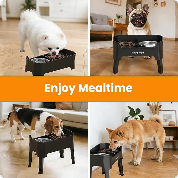 URPOWER Mess Proof Slow Feeder Dog Bowls 4 Height Adjustable Elevated Bowl Stand with 2 Stainless Steel Dog Bowls and 1 Slow Feeder Non-Slip Food and Water Bowl Set for Small and Medium Dogs