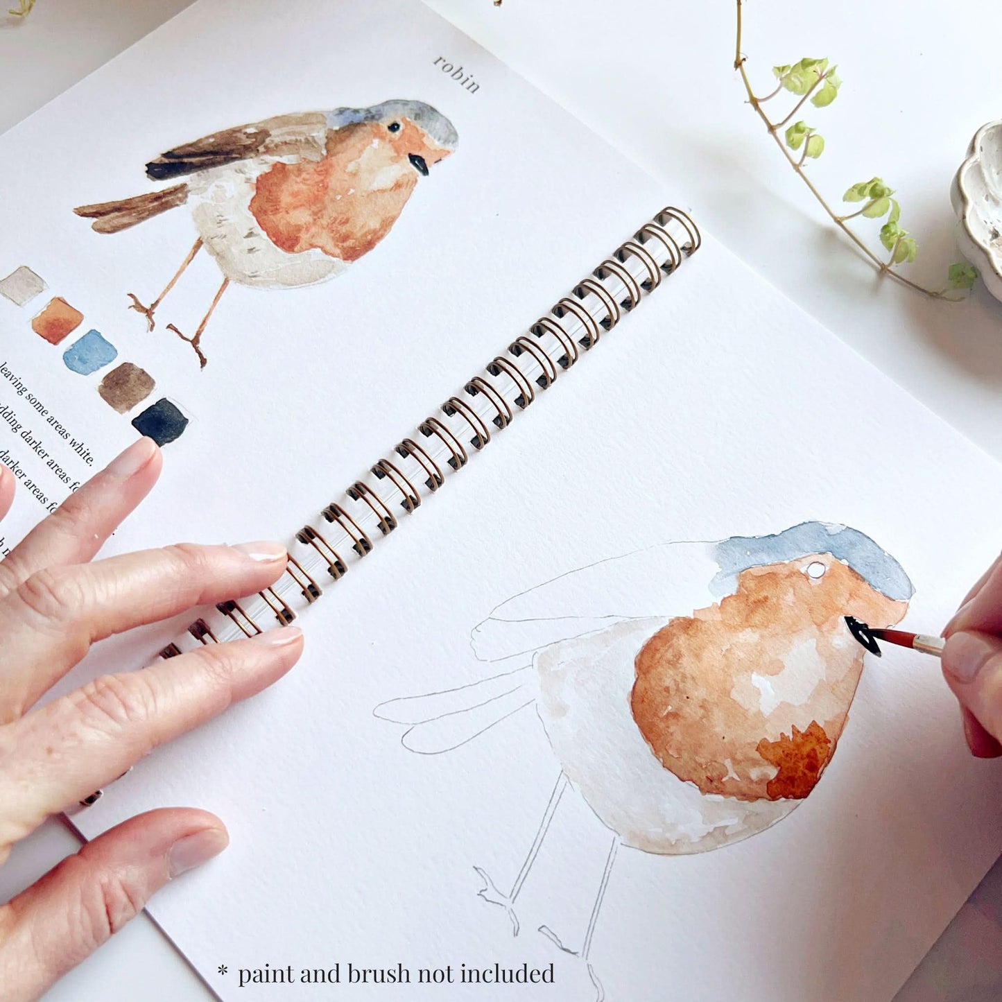 Birds Watercolor Workbook by Emily Lex Studio, 12 Beginner Friendly Sketched Illustrations, Lay Flat Spiral Pages, 6.5 x 9 inch, 120lb Watercolor Paper