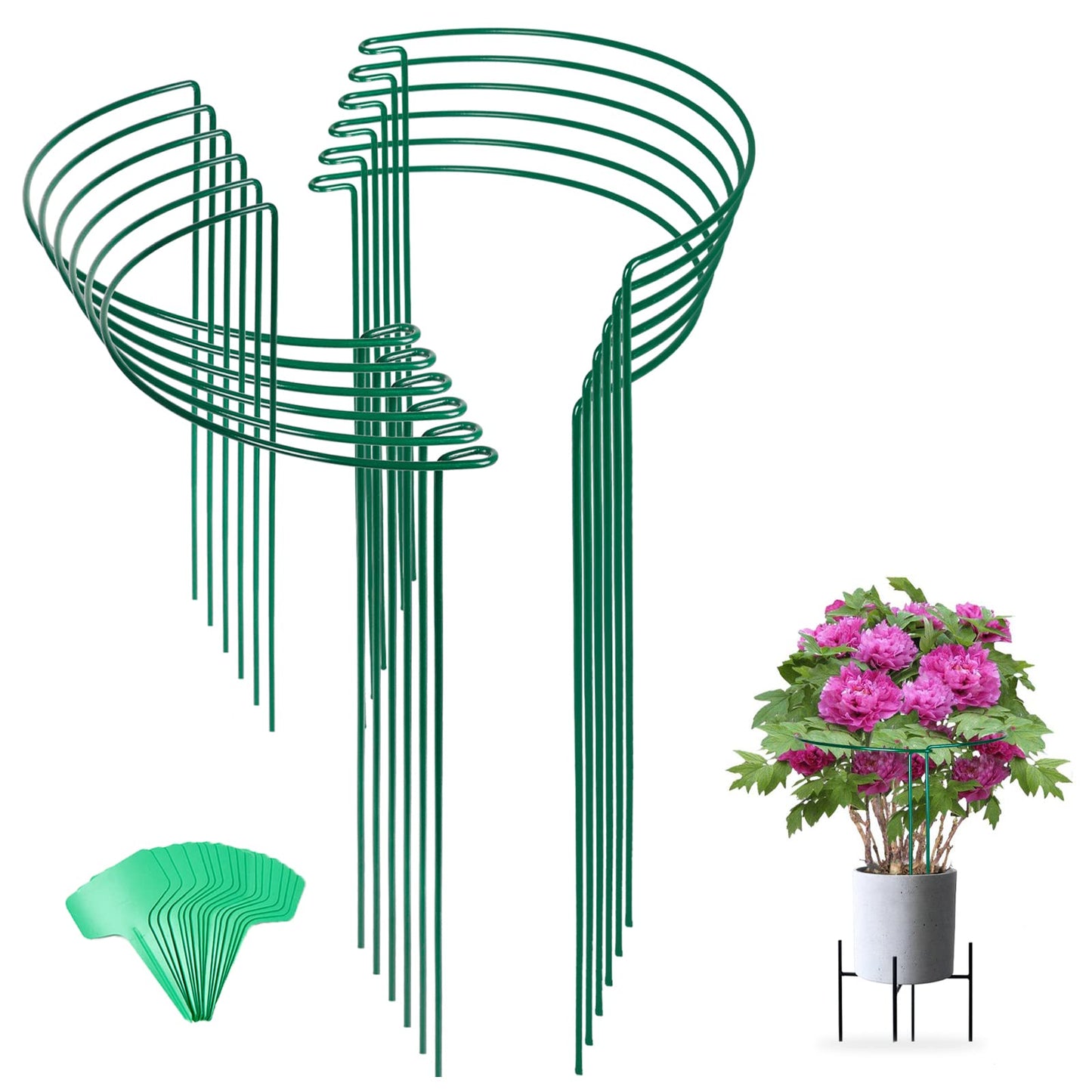 Joyhalo 12 Pack Tall Snake Plant Support Stakes for Indoor Plants 24 Inch, Peony Cages and Supports, Peony Cage with 15 Pcs Twist Ties, Monstera Plant Support for Plants Tomato, Hydrangea, Monstera