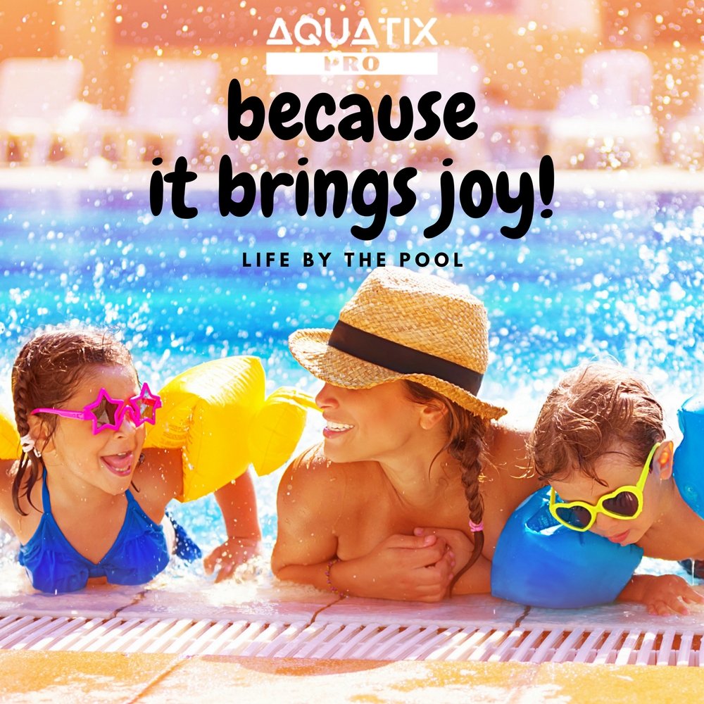 Aquatix Pro Heavy Duty Pool Brush, Durable 10" Swimming Pool Cleaner Brush Best for Tackling Stubborn Stains, Aluminium Handle & Stainless Steel Bristles, Suitable for Concrete & Gunite Pools.