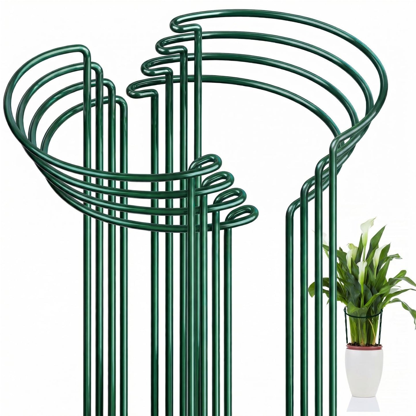 FEED GARDEN 8 Pack Plant Support Stakes, Peony Cages and Supports, Metal Garden Plant Stake(10" Wide x 16" High) Green Half Round Plant Support Rings for Outdoor Indoor Plants, Tomato, Hydrangea