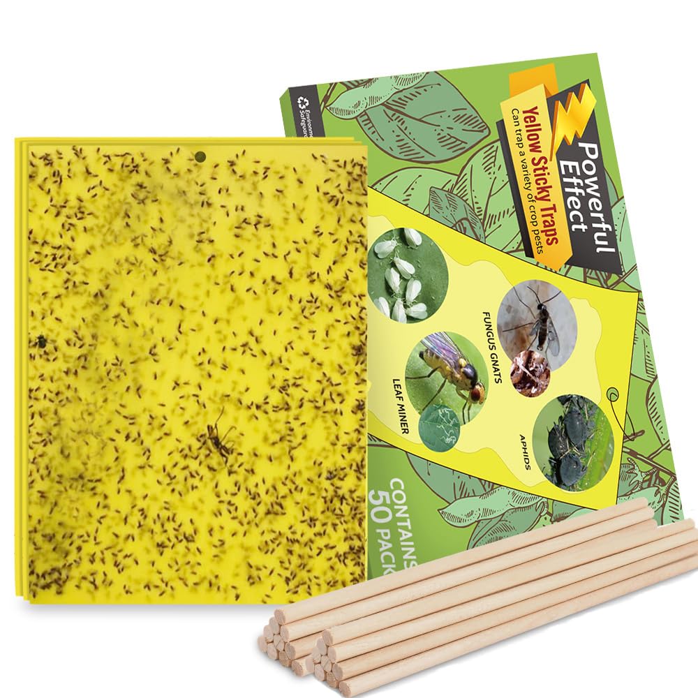 Kensizer 50-Pack Fruit Fly Trap, Yellow Sticky Gnat Traps Killer for Indoor/Outdoor Flying Plant Insect Like Fungus Gnats, Whiteflies, Aphids, Leaf Miners - 6x8 in, Twist Ties Included