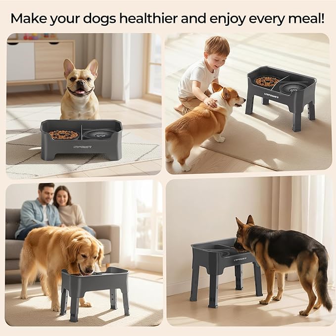 URPOWER Mess Proof Elevated Dog Bowls 4 Height Adjustable Raised Stand with No Spill Water Bowl and Slow Feeder Dog Bowls Non-Slip Food and Water Bowl Set for Small, Medium & Large Dogs
