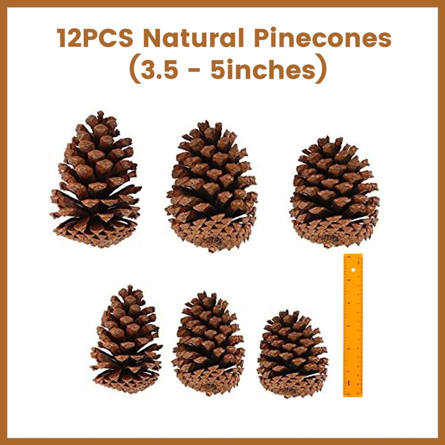 JOHOUSE 3.5-5Inch Natural Pine Cones Crafts, Natural Pinecone Ornaments Vase Fillers for Autumn and Winter Christmas Decorations